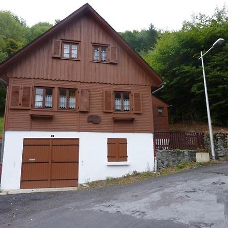 Chalet Au Mont-Dore, 300M Du Centre, 6 Pieces, Garage, Terrain Pentu, Ideal 8 Pers, Animaux Non Acceptes. - Fr-1-608-4 Villa Kültér fotó