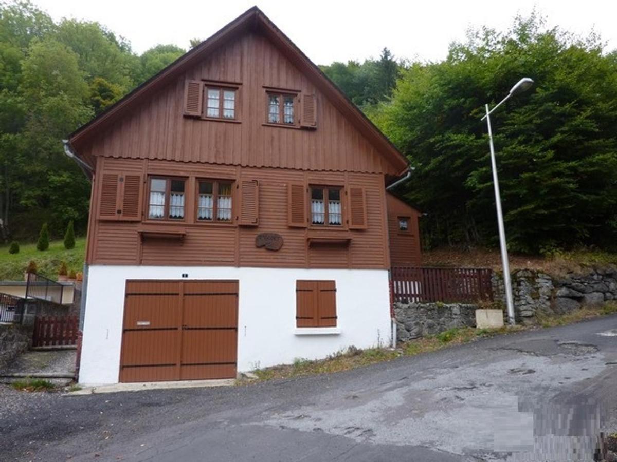 Chalet Au Mont-Dore, 300M Du Centre, 6 Pieces, Garage, Terrain Pentu, Ideal 8 Pers, Animaux Non Acceptes. - Fr-1-608-4 Villa Kültér fotó